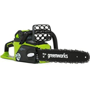 GreenWorks 20292 G-MAX 40V Cordless Chainsaw