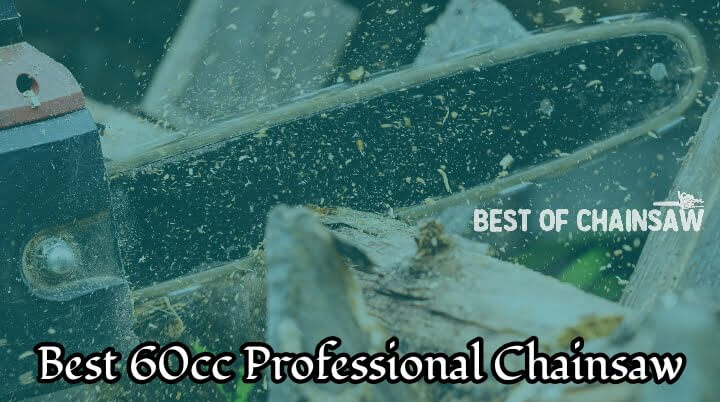 Best 60cc Professional Chainsaw