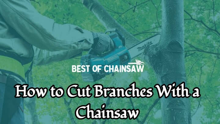 how to cut branches with a chainsaw