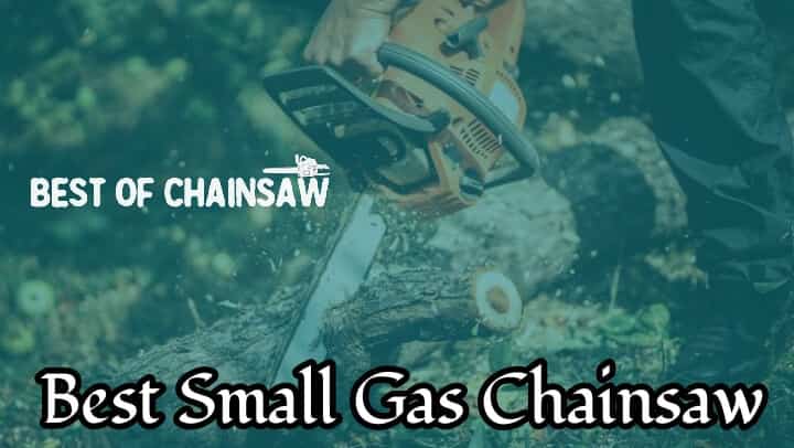 reviewed the seven best small gas chainsaw available in the market