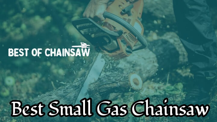 best small gas chainsaw