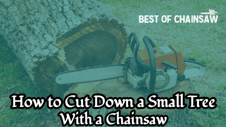 how to cut down a small tree with a chainsaw