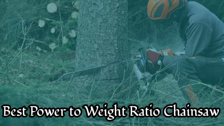 Best Power to Weight Ratio Chainsaw