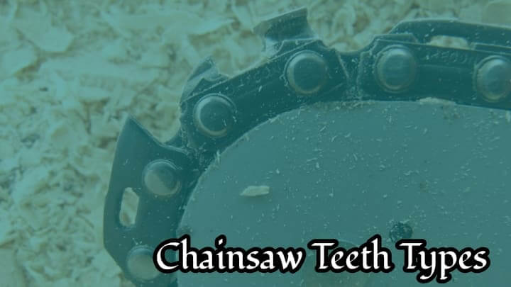 Chainsaw Teeth Types